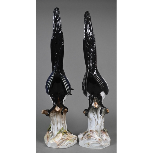 460 - A pair of Meissen life-size magpies perched on woody stumps, label for 'T. Goode & Co.', 53 cm h... 