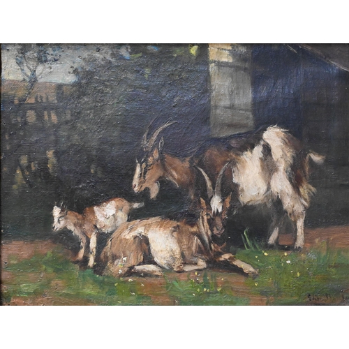 551 - Elizabeth Thompson (1830-1943) attrib - Study of mountain goats, indistinctly signed lower right, 31... 