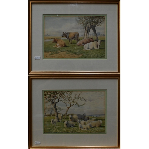 556 - W Sidney Cooper (1854-1927) - A pair of watercolours of sheep and cattle in a landscape, signed and ... 