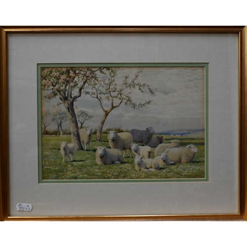 556 - W Sidney Cooper (1854-1927) - A pair of watercolours of sheep and cattle in a landscape, signed and ... 