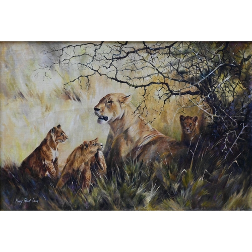 570 - Mary Elliott Lacey (1923-2004) - Lioness and cubs, oil on canvas, signed, 51 x 76 cm 