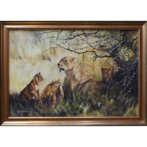 570 - Mary Elliott Lacey (1923-2004) - Lioness and cubs, oil on canvas, signed, 51 x 76 cm 