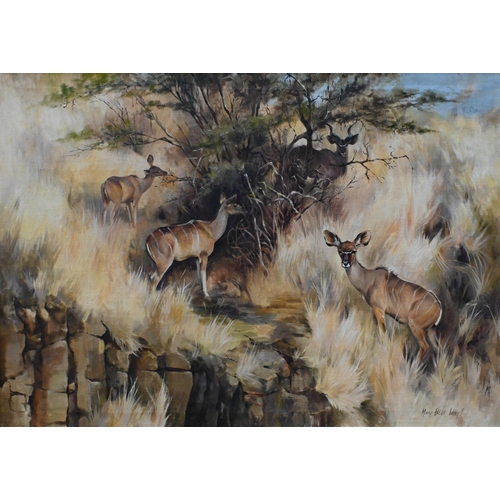 574 - Mary Elliott Lacey (1923-2004) - Greater Kudu, Lewa Down, oil on canvas, signed, 74 x 105 cm, Mall G... 