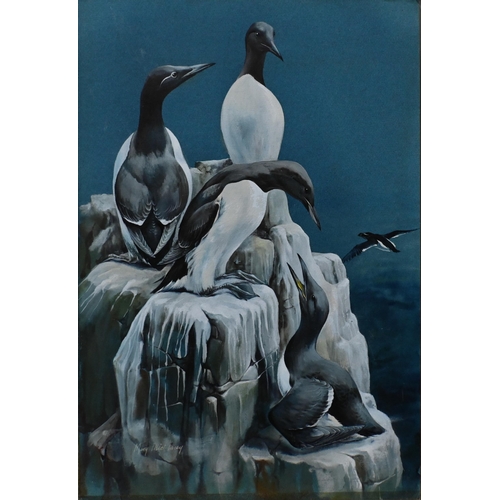 575 - Mary Elliott Lacey (1923-2004) - A folio of unframed studies - Emperor penguins, signed, 47 x 32 cm;... 