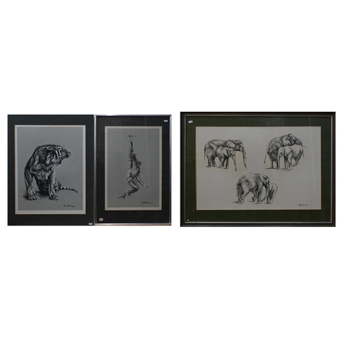 576 - Mary Elliott Lacey (1923-2004) - Three black and white pencil and wash animal studies of a roaring t... 