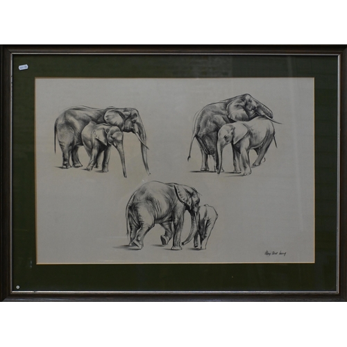 576 - Mary Elliott Lacey (1923-2004) - Three black and white pencil and wash animal studies of a roaring t... 