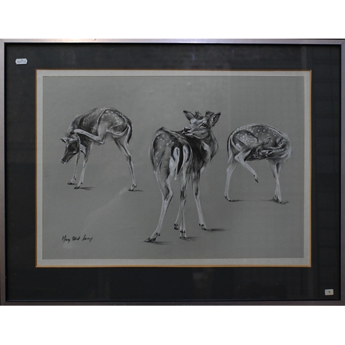 577 - Mary Elliott Lacey (1923-3004) - Three black and white pencil and wash animal studies - Polar bear a... 