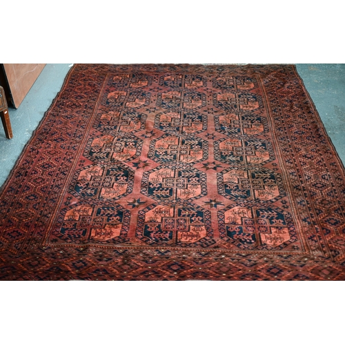 614 - An old Afghan red-brown ground carpet, the three rows of geometric guls, 322 cm x 237 cm, even wear,... 