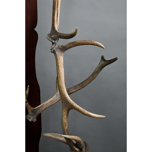 698 - Roland Ward & Co. 106 Piccadilly, London, a rare Victorian full height antler mounted hall stand... 