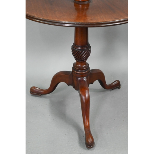 704 - A Victorian mahogany two graduated dumb waiter, on tripod base, 60 cm dia. x 98 cm h