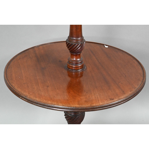 704 - A Victorian mahogany two graduated dumb waiter, on tripod base, 60 cm dia. x 98 cm h