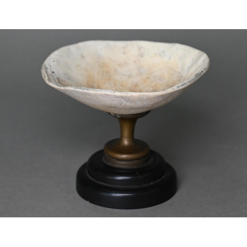 905 - An unusual vintage small comport, the bowl a cranial cap, on brass stem and composite foot, 8.5 cm h... 