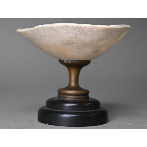 905 - An unusual vintage small comport, the bowl a cranial cap, on brass stem and composite foot, 8.5 cm h... 