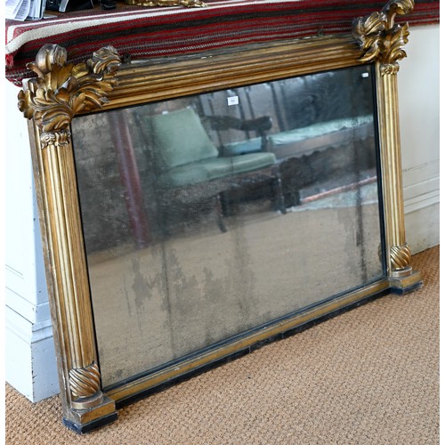 703 - A Regency carved and moulded giltwood overmantel, the original distressed mirror plate flanked by fl... 