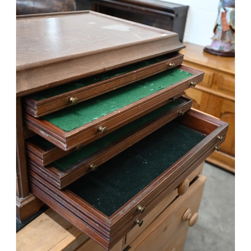 12 - A mahogany six-drawer collector's chest with brass handles, 52 x 38 x 30 cm high