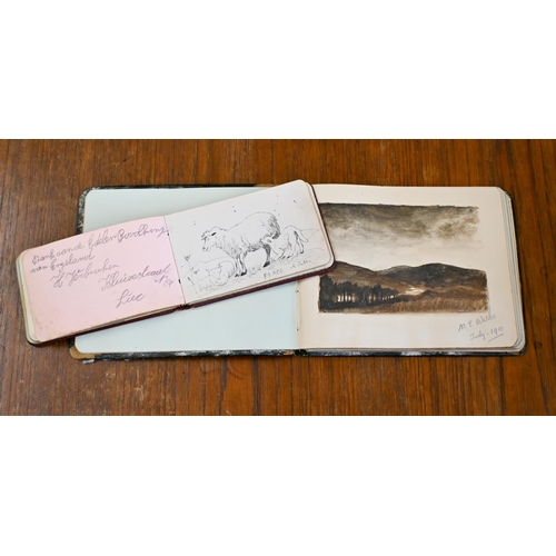 474 - Two antique autograph albums containing drawings, verses etc dated 1913-15 and 1918-19 (2)