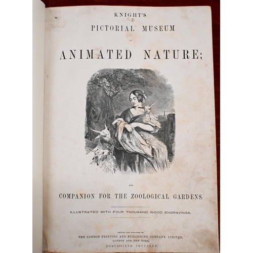 513 - Two books - Knight's Animated Nature (rebound) and Gaskell's Atlas 1888 (2)