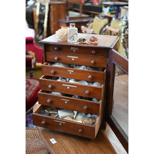 543 - A Victorian stained wood collector's chest of six shallow drawers enclosed by a glazed door, 45 x 38... 