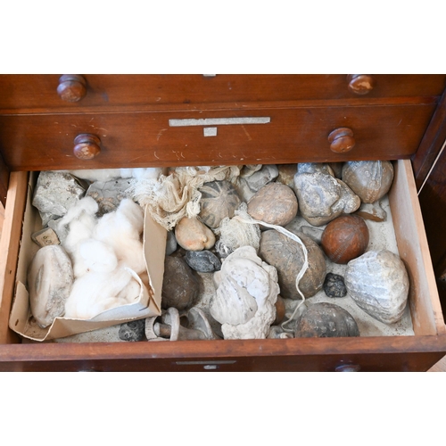 543 - A Victorian stained wood collector's chest of six shallow drawers enclosed by a glazed door, 45 x 38... 