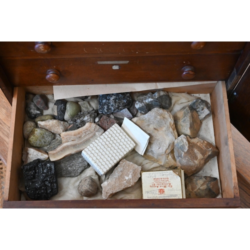 543 - A Victorian stained wood collector's chest of six shallow drawers enclosed by a glazed door, 45 x 38... 