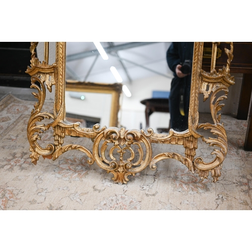 75 - A large Italian reproduction gilt framed mirror in the Chippendale style, 80 cm wide x 160 cm high