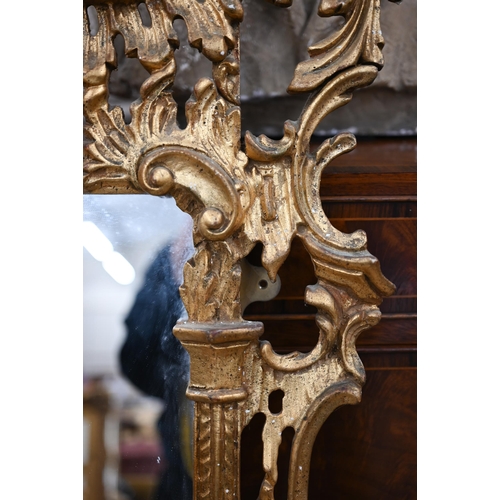 75 - A large Italian reproduction gilt framed mirror in the Chippendale style, 80 cm wide x 160 cm high