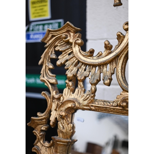 75 - A large Italian reproduction gilt framed mirror in the Chippendale style, 80 cm wide x 160 cm high