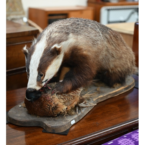 458 - Taxidermy: a fox's head on oak shield inscribed 'Chipperfield 10th March 1938' to/w a full-body badg... 