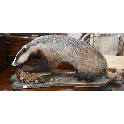 458 - Taxidermy: a fox's head on oak shield inscribed 'Chipperfield 10th March 1938' to/w a full-body badg... 