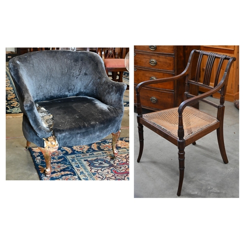 95 - Regency mahogany cane seated carver/elbow chair with faux bamboo front legs to/w a low armchair, for... 