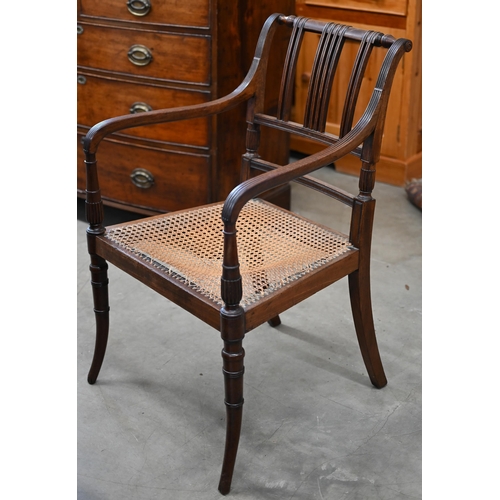 95 - Regency mahogany cane seated carver/elbow chair with faux bamboo front legs to/w a low armchair, for... 