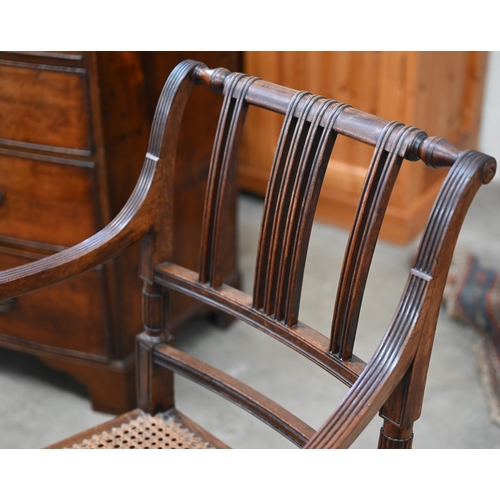 95 - Regency mahogany cane seated carver/elbow chair with faux bamboo front legs to/w a low armchair, for... 