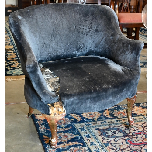 95 - Regency mahogany cane seated carver/elbow chair with faux bamboo front legs to/w a low armchair, for... 