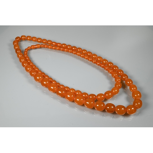 234 - Two rows of graduated amber beads, each with concealed screw clasp, approx 100g (2)