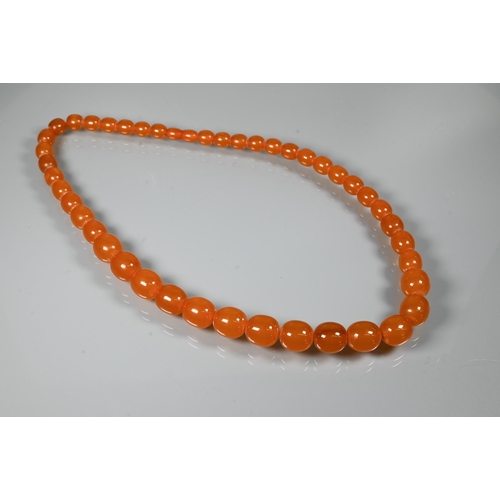 234 - Two rows of graduated amber beads, each with concealed screw clasp, approx 100g (2)