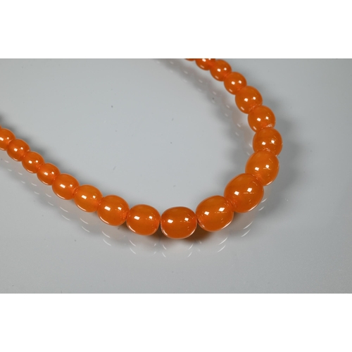 234 - Two rows of graduated amber beads, each with concealed screw clasp, approx 100g (2)