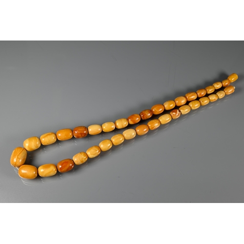 245 - A row of butterscotch amber beads on screw clasp, a/f, approx 30g