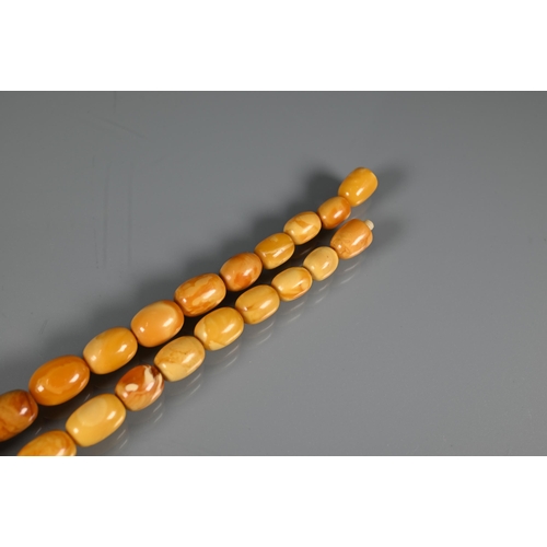 245 - A row of butterscotch amber beads on screw clasp, a/f, approx 30g