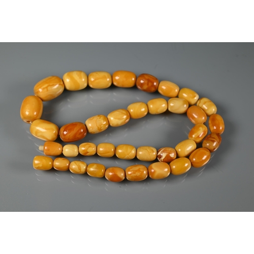 245 - A row of butterscotch amber beads on screw clasp, a/f, approx 30g