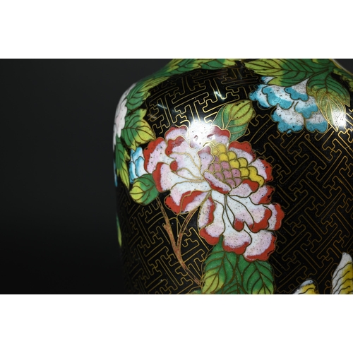 359 - A pair of 20th century Chinese cloisonne on brass vases with polychrome enameled floral designs agai... 