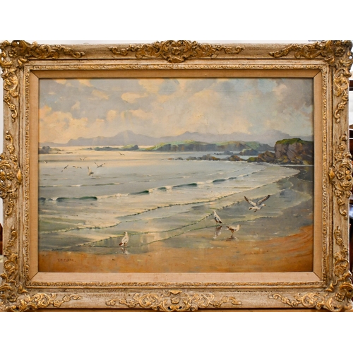 606 - T B Clark (1895-1983) - Extensive beach view with gulls, oil on canvas, signed lower left, 48 x 69 c... 