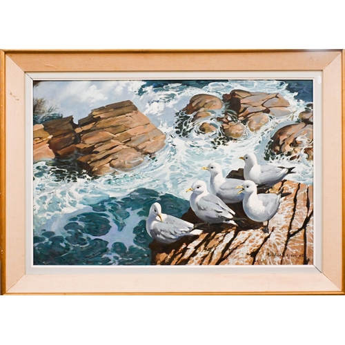 608 - Keith Shackleton (1923-2015) - Gulls perched on a rock, oil on board, signed lower right and dated '... 