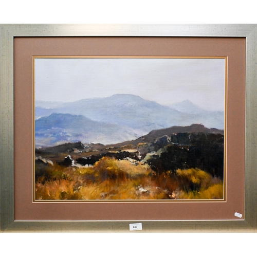 617 - AMENDED ESTIMATE Ruth Squibb (1928-2012) - South African landscape, oil on board, signed lower left,... 