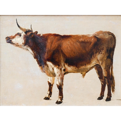 645 - Eugene Verboekhoven (1798/99-1881) - 'Red Friesian bull', oil on paper laid on panel, 28 x 37.5 cmPr...