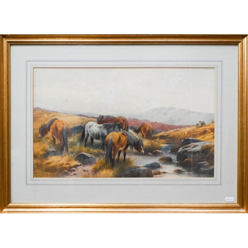 653 - Tom Rowden (1842-1926) - 'A brook under Arms Tor, Bridestow, Dartmoor', with ponies, watercolour, si... 