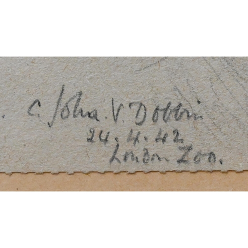 654 - C John V Dobbin - 'London Zoo', three pencil sketches of big cats, signed and initialled, dated 24.4... 