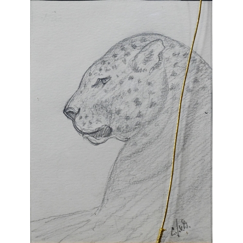 654 - C John V Dobbin - 'London Zoo', three pencil sketches of big cats, signed and initialled, dated 24.4... 