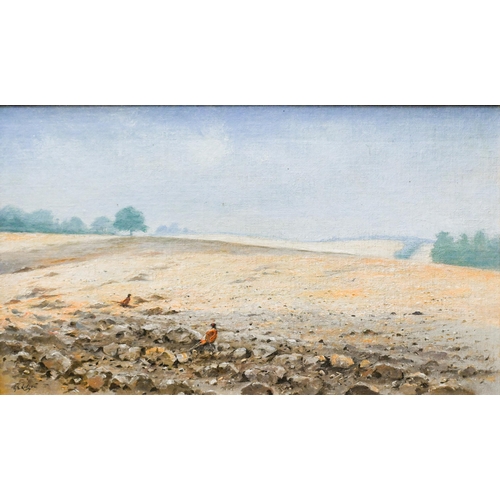 684 - G E Lodge (1860-1954) - Pheasants in a field, oil on board, signed lower left, 30 x 52.5 cm