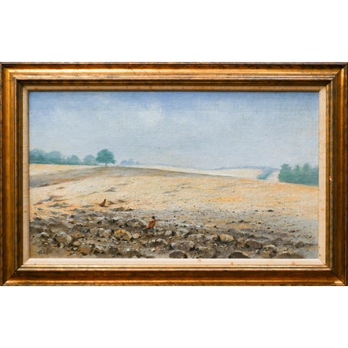 684 - G E Lodge (1860-1954) - Pheasants in a field, oil on board, signed lower left, 30 x 52.5 cm