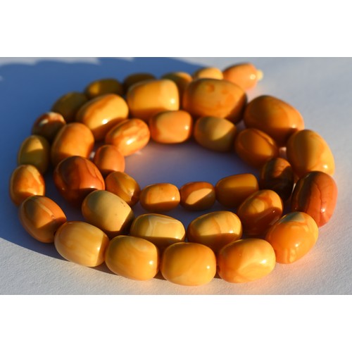 245 - A row of butterscotch amber beads on screw clasp, a/f, approx 30g